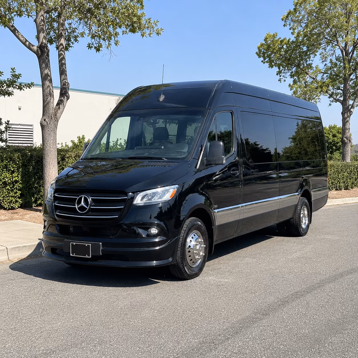 sprinter vans and minibuses for executive and small group corporate travel